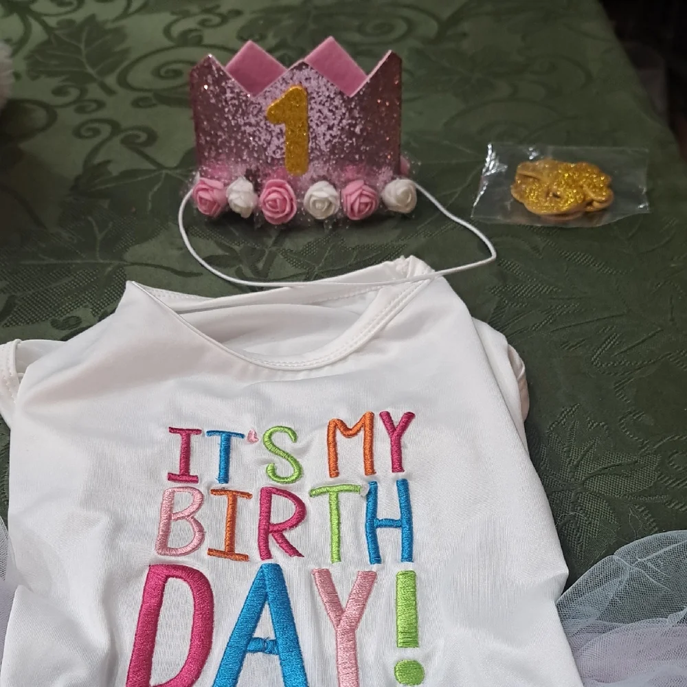 Birthday Dog Outfit with Pink Crown And Year Numbers For Crown.